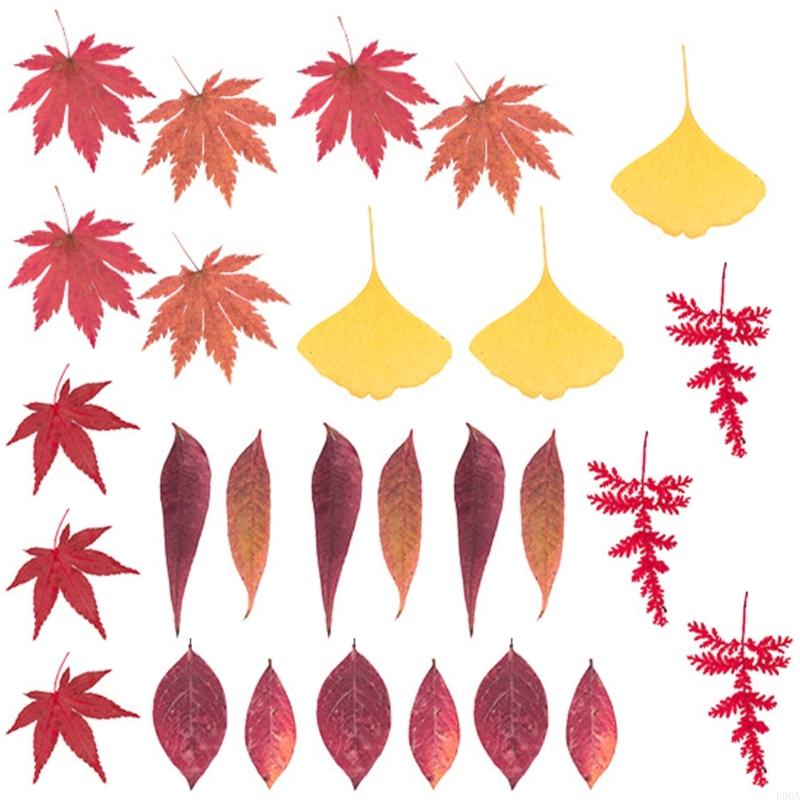Gedroogde geperste bloem voor  - Resin Craft Ideas recensie en prijs