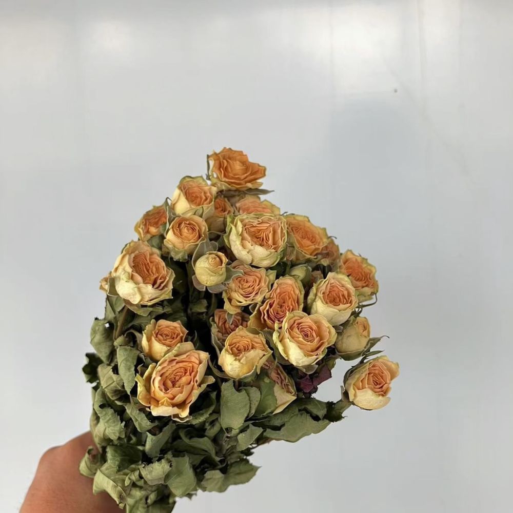 Echte, geconserveerde rozen, g - Resin Craft Ideas recensie en prijs